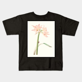 Netted-veined amaryllis - Hippeastrum reticulatum - botanical illustration Kids T-Shirt